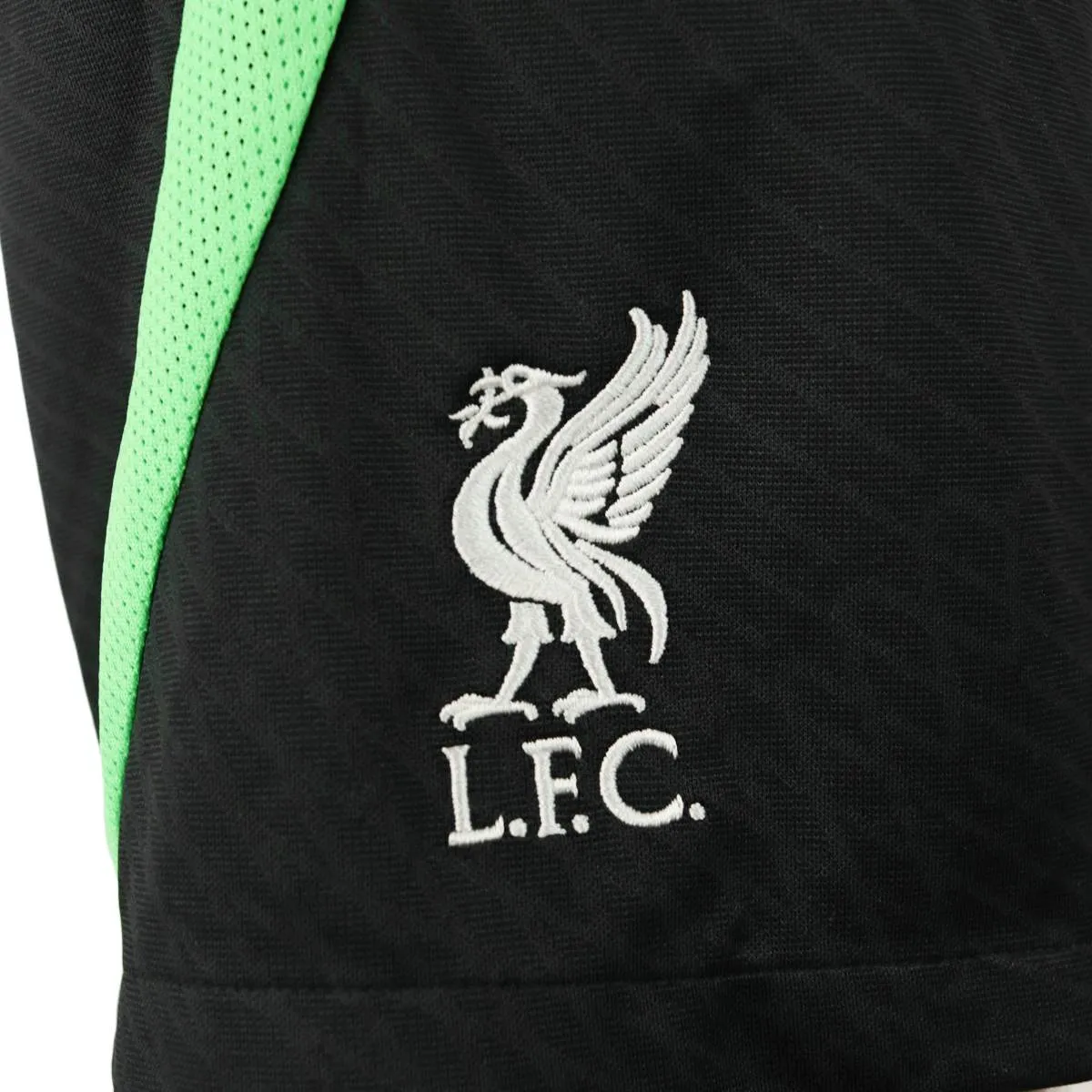 Nike FC Liverpool Dri-Fit Strike Short DX3191-012 - schwarz-grün